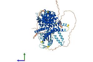 AlphaFold protein structure predicition of Human Recombinant PDE8A Protein, UniprotID O60658