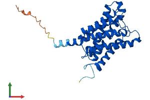 AlphaFold protein structure predicition of Mouse Recombinant Aqp8 Protein, UniprotID P56404