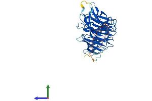 AlphaFold protein structure predicition of Human Recombinant SEH1L Protein, UniprotID Q96EE3