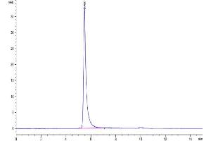 The purity of Biotinylated Human ITGAV&ITGB3 is greater than 95 % as determined by SEC-HPLC.
