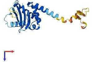 AlphaFold protein structure predicition of Mouse Recombinant Ap3s2 Protein, UniprotID Q8BSZ2
