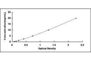 Typical standard curve (QSOX1 Kit ELISA)