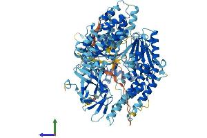 AlphaFold protein structure predicition of Mouse Recombinant Rigi Protein, UniprotID Q6Q899