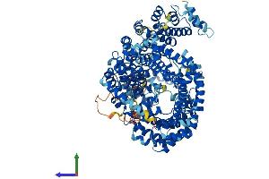 AlphaFold protein structure predicition of Mouse Recombinant Ipo8 Protein, UniprotID Q7TMY7