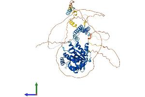 AlphaFold protein structure predicition of Mouse Recombinant Fignl1 Protein, UniprotID Q8BPY9