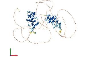 AlphaFold protein structure predicition of Human Recombinant CWC22 Protein, UniprotID Q9HCG8