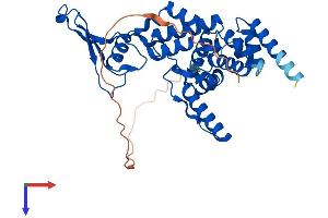 AlphaFold protein structure predicition of Mouse Recombinant Mrps22 Protein, UniprotID Q9CXW2
