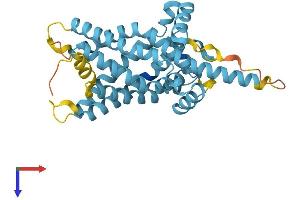 AlphaFold protein structure predicition of Mouse Recombinant Slc25a22 Protein, UniprotID Q9D6M3