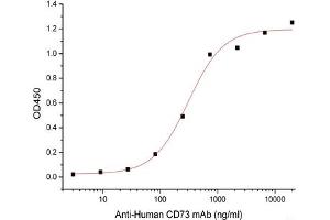 ELISA image for 5'-Nucleotidase, Ecto (CD73) (NT5E) (Active) protein (Fc Tag) (ABIN7319798)