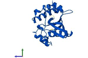 AlphaFold protein structure predicition of Human Recombinant SAT2 Protein, UniprotID Q96F10