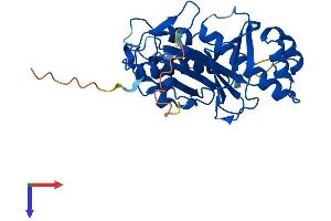 AlphaFold protein structure predicition of Human Recombinant AASDHPPT Protein, UniprotID Q9NRN7