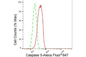 Flow cytometric analysis of Caspase 5 expression in HT- cells using Caspase 5 antibody (ABIN7797897), 1:2,000). (Recombinant CASP5 anticorps)