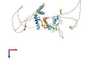AlphaFold protein structure predicition of Human Recombinant ZNF446 Protein, UniprotID Q9NWS9