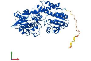 AlphaFold protein structure predicition of Human Recombinant UGDH Protein, UniprotID O60701