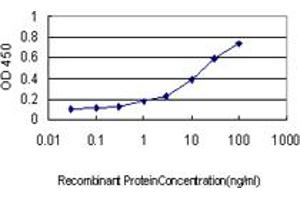 anti-Fragile Histidine Triad (FHIT) (AA 31-130) antibody
