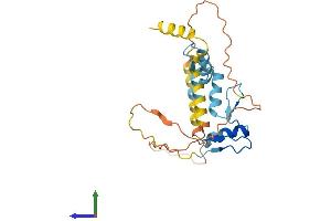 AlphaFold protein structure predicition of Human Recombinant KLF9 Protein, UniprotID Q13886