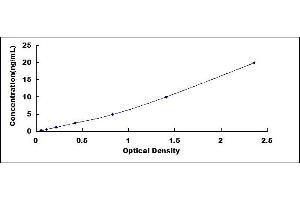 Typical standard curve