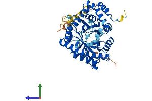 AlphaFold protein structure predicition of Mouse Recombinant Kcnab1 Protein, UniprotID P63143