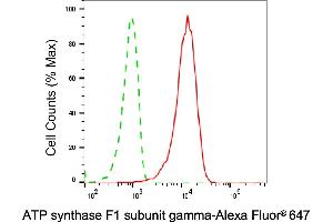Flow cytometric analysis of ATP synthase F1 subunit gamma expression in HepG2 cells using ATP synthase F1 subunit gamma antibody (ABIN7797682), 1:1,000).