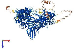 AlphaFold protein structure predicition of Mouse Recombinant Prmt9 Protein, UniprotID Q3U3W5