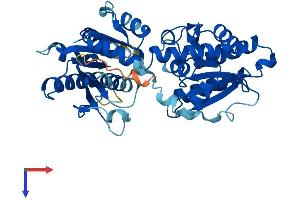 AlphaFold protein structure predicition of Mouse Recombinant Alg2 Protein, UniprotID Q9DBE8