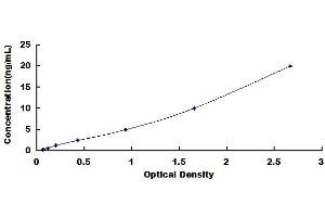 Typical standard curve