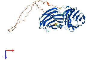 AlphaFold protein structure predicition of Mouse Recombinant Lgals9 Protein, UniprotID O08573