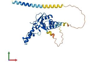 AlphaFold protein structure predicition of Human Recombinant NUS1 Protein, UniprotID Q96E22
