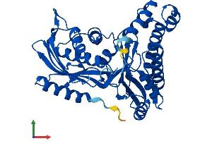 AlphaFold protein structure predicition of Mouse Recombinant Galk1 Protein, UniprotID Q9R0N0