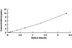 Typical standard curve (SIK2 Kit ELISA)
