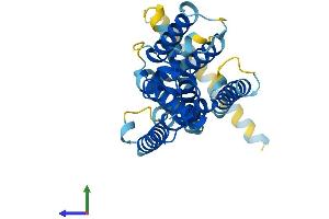 AlphaFold protein structure predicition of Human Recombinant RHBDL2 Protein, UniprotID Q9NX52