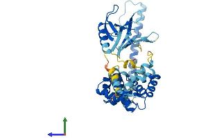 AlphaFold protein structure predicition of Human Recombinant CYTH1 Protein, UniprotID Q15438
