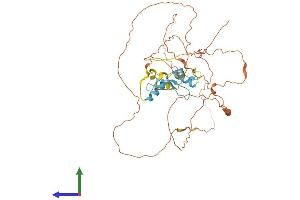 AlphaFold protein structure predicition of Mouse Recombinant Sp7 Protein, UniprotID Q8VI67
