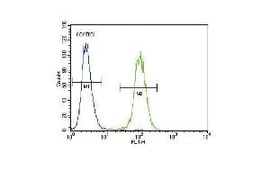 Urokinase (PLAU) Antibody (C-term) (ABIN1882148 and ABIN2842233) flow cytometric analysis of  cells (right histogram) compared to a negative control cell (left histogram). (PLAU anticorps  (C-Term))