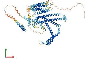 AlphaFold protein structure predicition of Mouse Recombinant Stra6 Protein, UniprotID O70491