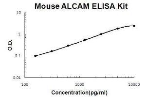 Mouse ALCAM PicoKine ELISA Kit standard curve (CD166 Kit ELISA)