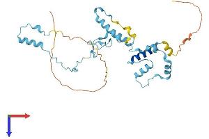AlphaFold protein structure predicition of Mouse Recombinant Ift46 Protein, UniprotID Q9DB07