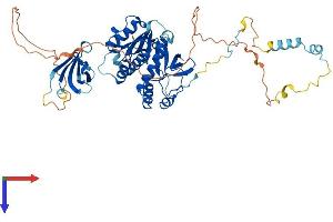 AlphaFold protein structure predicition of Human Recombinant EDC3 Protein, UniprotID Q96F86