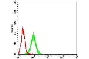Flow cytometric analysis of K562 cells using TIGIT mouse mAb (green) and negative control (red).