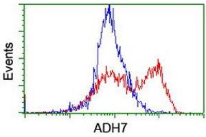 HEK293T cells transfected with either RC224304 overexpress plasmid (Red) or empty vector control plasmid (Blue) were immunostained by anti-ADH7 antibody (ABIN2455873), and then analyzed by flow cytometry. (ADH7 anticorps)