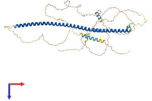 AlphaFold protein structure predicition of Mouse Recombinant Snph Protein, UniprotID Q80U23