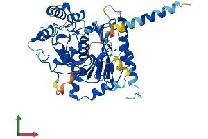 AlphaFold protein structure predicition of Human Recombinant B3GNT8 Protein, UniprotID Q7Z7M8