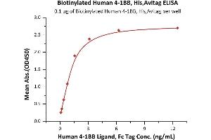 Immobilized Biotinylated Human 4-1BB, His,Avitag™(MALS verified) (ABIN6972936) at 1 μg/mL (100 μL/well) on Recombinant Streptavidin  precoated (0. (CD137 Protein (AA 24-186) (His tag,AVI tag,Biotin))