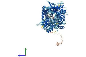AlphaFold protein structure predicition of Human Recombinant PTCHD1 Protein, UniprotID Q96NR3