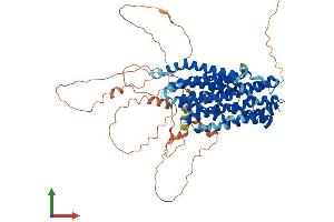 AlphaFold protein structure predicition of Human Recombinant SLC20A1 Protein, UniprotID Q8WUM9