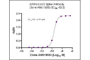 SARS-CoV-2 Spike Antibody (rAb) (AM018553) tested by ELISA.
