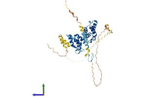 AlphaFold protein structure predicition of Human Recombinant ZCCHC12 Protein, UniprotID Q6PEW1