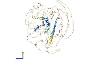 AlphaFold protein structure predicition of Mouse Recombinant Phc3 Protein, UniprotID Q8CHP6