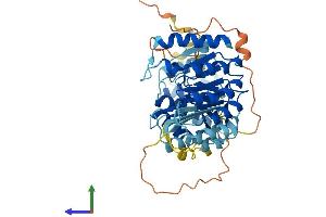 AlphaFold protein structure predicition of Human Recombinant PRAMEF10 Protein, UniprotID O60809