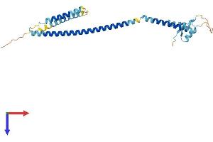 AlphaFold protein structure predicition of Mouse Recombinant Cenpk Protein, UniprotID Q9ESN5
